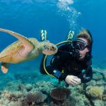 Reef barrier great dive tour snorkel scuba cairns tours reefs