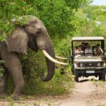 Adventure safaris in Africa
